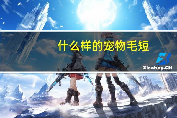 什么样的宠物毛短