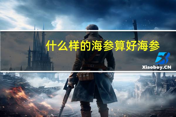 什么样的海参算好海参