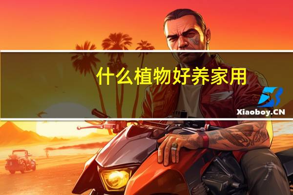 什么植物好养家用