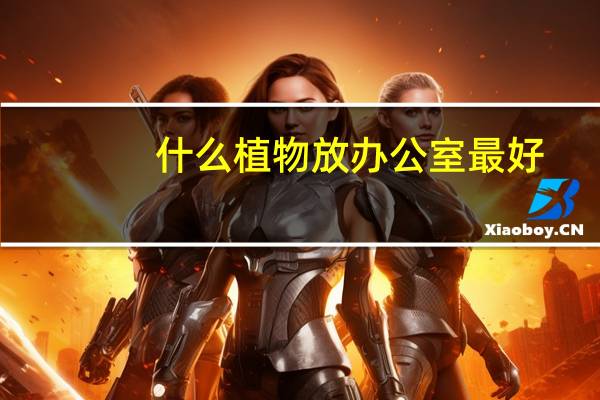 什么植物放办公室最好