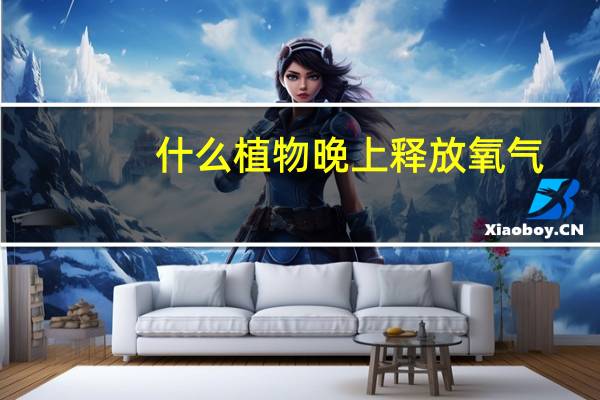 什么植物晚上释放氧气