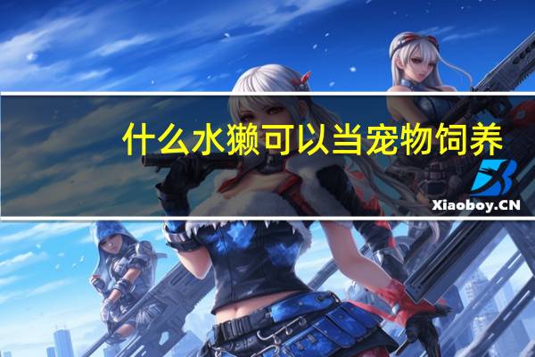 什么水獭可以当宠物饲养