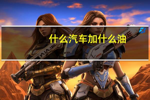 什么汽车加什么油