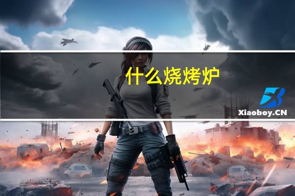 什么烧烤炉