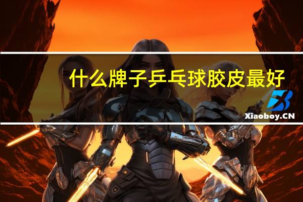 什么牌子乒乓球胶皮最好
