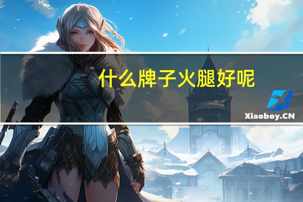 什么牌子火腿好呢