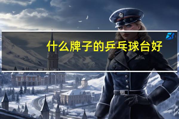 什么牌子的乒乓球台好