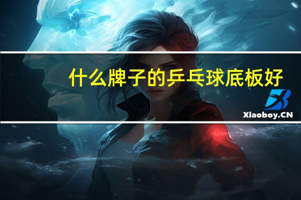 什么牌子的乒乓球底板好
