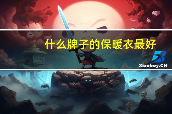 什么牌子的保暖衣最好