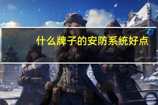 什么牌子的安防系统好点