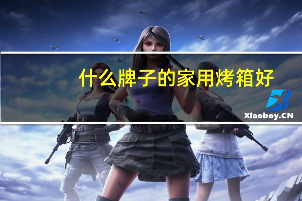 什么牌子的家用烤箱好