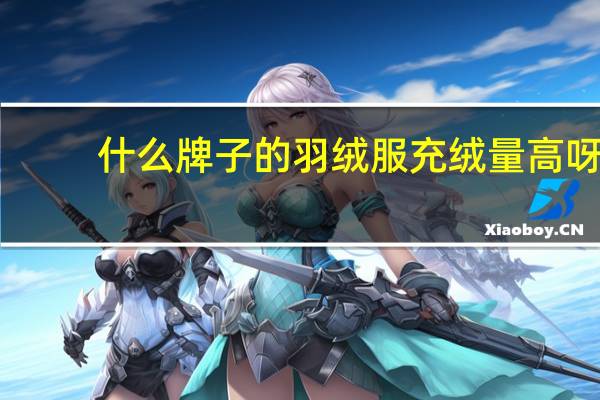 什么牌子的羽绒服充绒量高呀