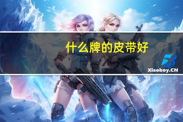 什么牌的皮带好