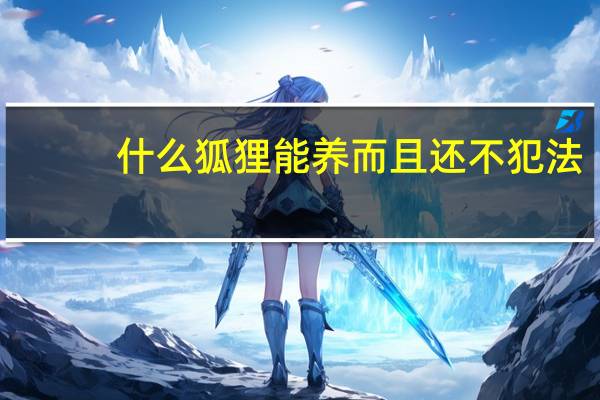 什么狐狸能养而且还不犯法