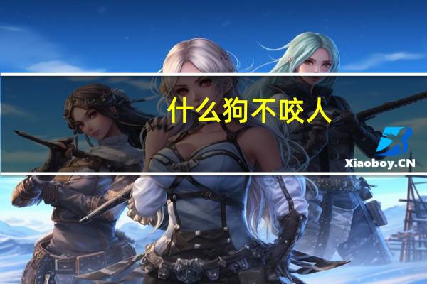 什么狗不咬人