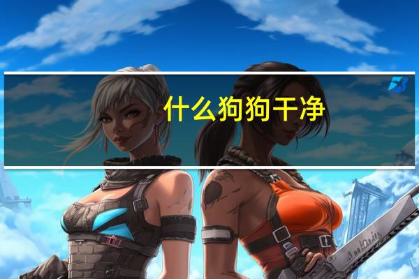 什么狗狗干净