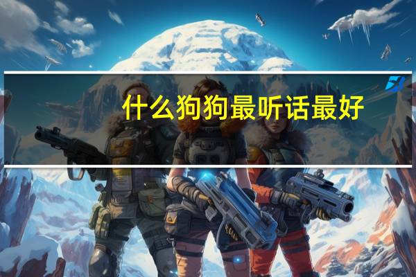 什么狗狗最听话最好