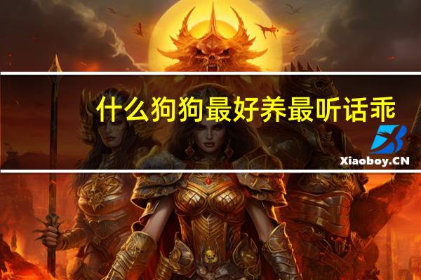 什么狗狗最好养最听话乖