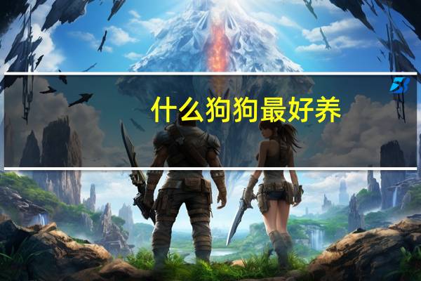 什么狗狗最好养