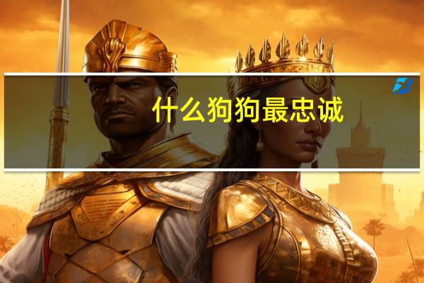 什么狗狗最忠诚
