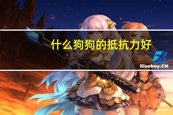 什么狗狗的抵抗力好