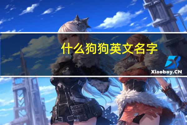 什么狗狗英文名字
