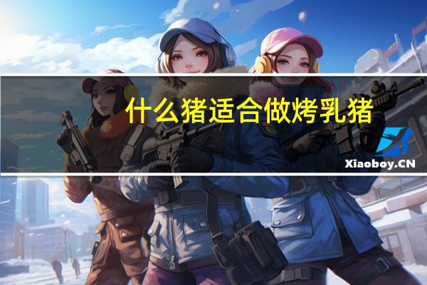 什么豬適合做烤乳豬