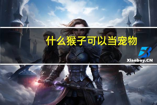 什么猴子可以当宠物