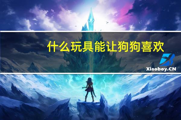 什么玩具能让狗狗喜欢