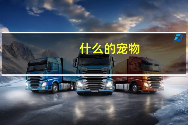 什么的宠物
