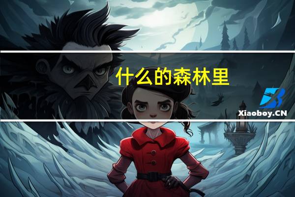 什么的森林里