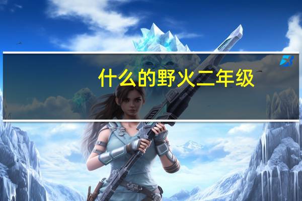 什么的野火二年级