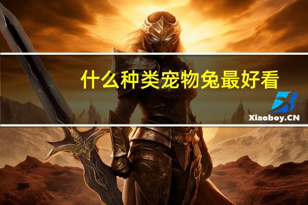 什么种类宠物兔最好看