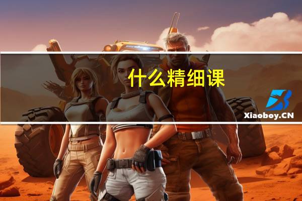 什么精细课
