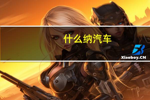 什么纳汽车