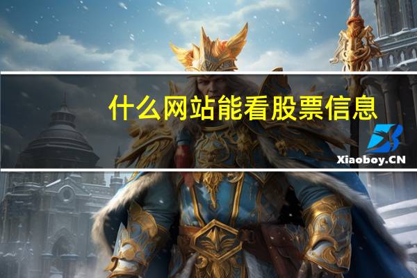 什么网站能看股票信息