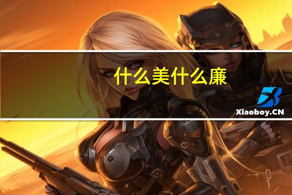 什么美什么廉