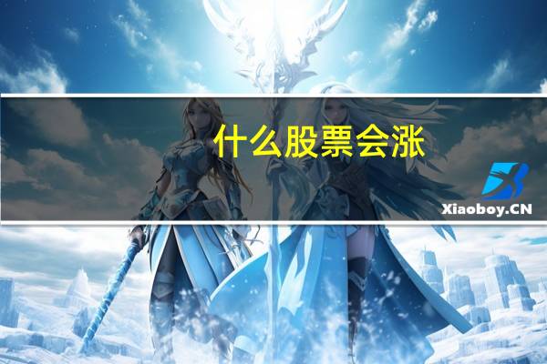 什么股票会涨