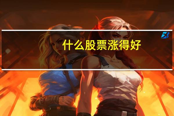 什么股票涨得好