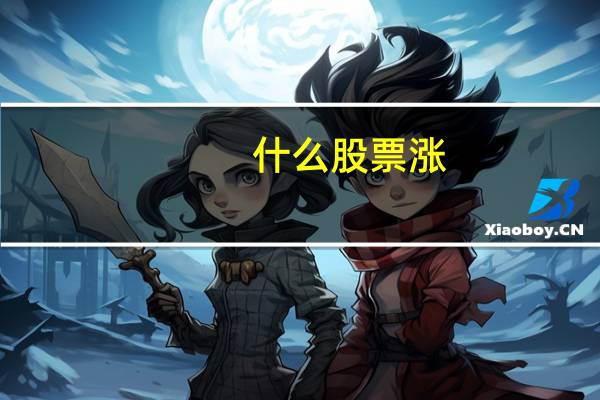 什么股票涨