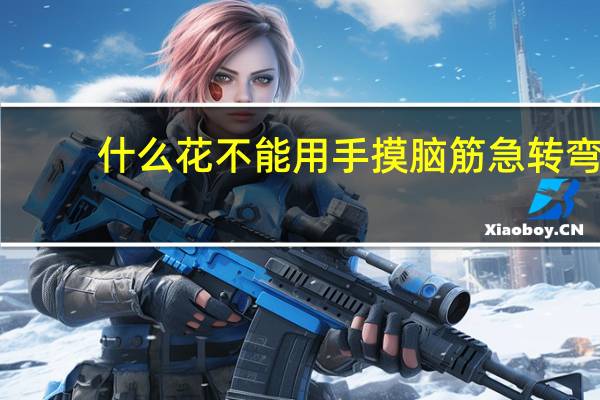 什么花不能用手摸脑筋急转弯