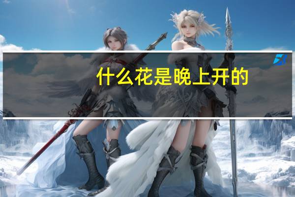 什么花是晚上开的