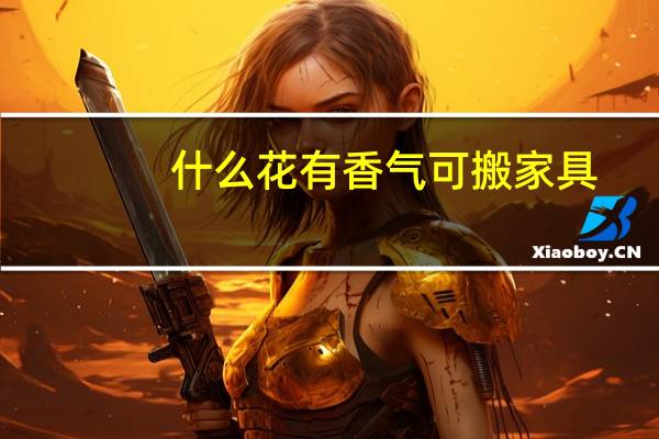 什么花有香气可搬家具