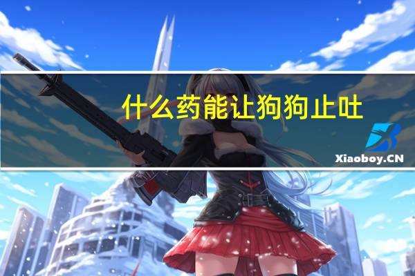 什么药能让狗狗止吐