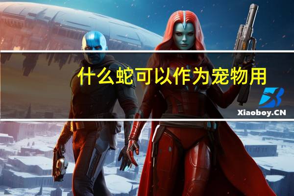 什么蛇可以作为宠物用
