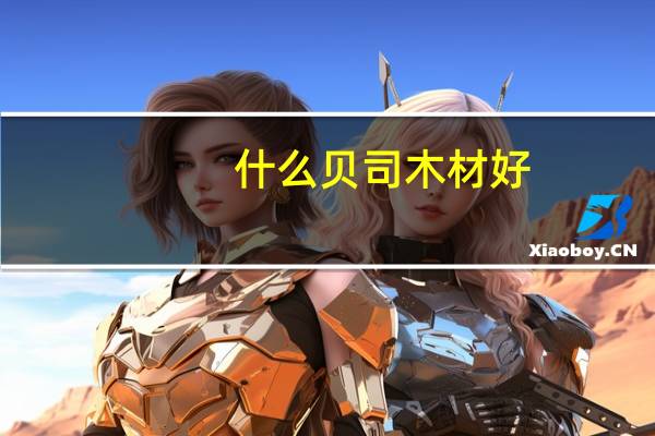 什么贝司木材好