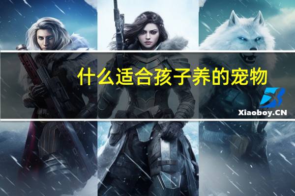 什么适合孩子养的宠物