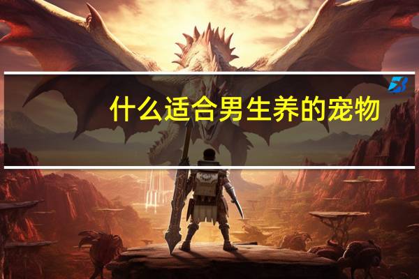什么适合男生养的宠物
