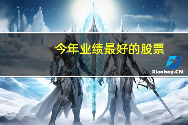 今年业绩最好的股票
