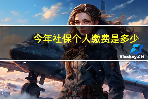 今年社保个人缴费是多少